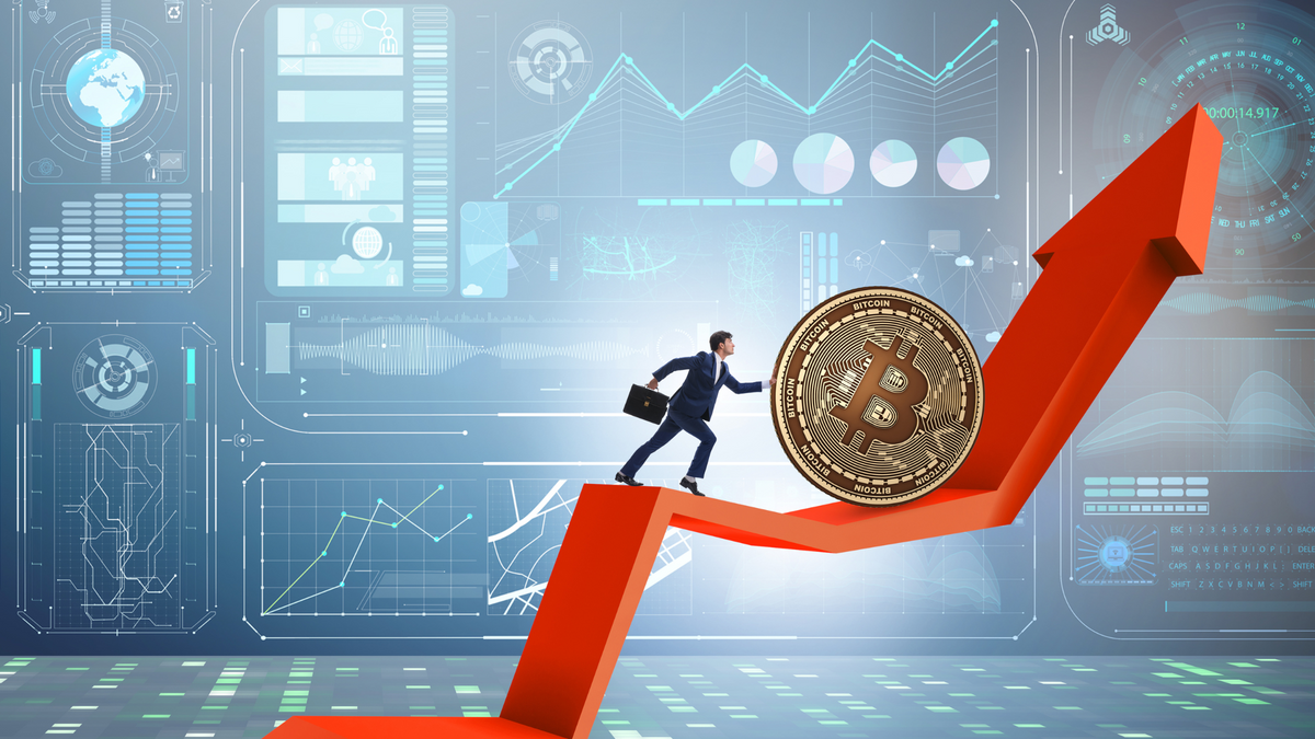 crypto volatility risk retirement